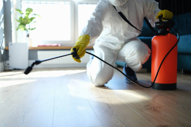 Reliable Hoarding Cleanup contractor in Summerfield, IL by Dulley Family Biohazard Services